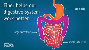 Better Digestive Health